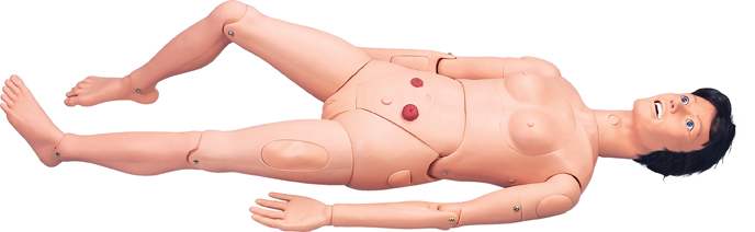 高級組合式基礎(chǔ)護理人訓(xùn)練模型 高級組合式基礎(chǔ)護理人訓(xùn)練模型