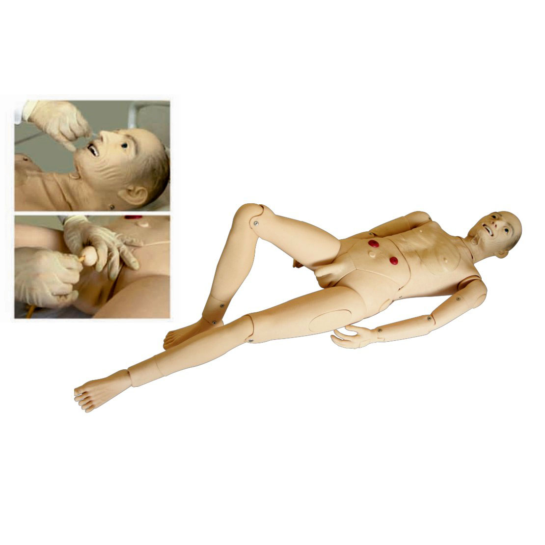 高級全功能老年護(hù)理人(男性) 高級全功能老年護(hù)理人(男性)