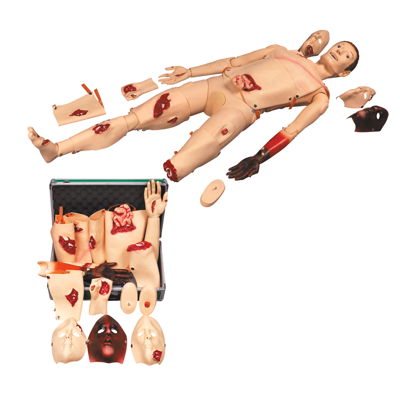 高級創(chuàng)傷訓練模型 高級創(chuàng)傷訓練模型