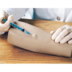 高級(jí)手臂皮內(nèi)注射模型 高級(jí)手臂皮內(nèi)注射模型