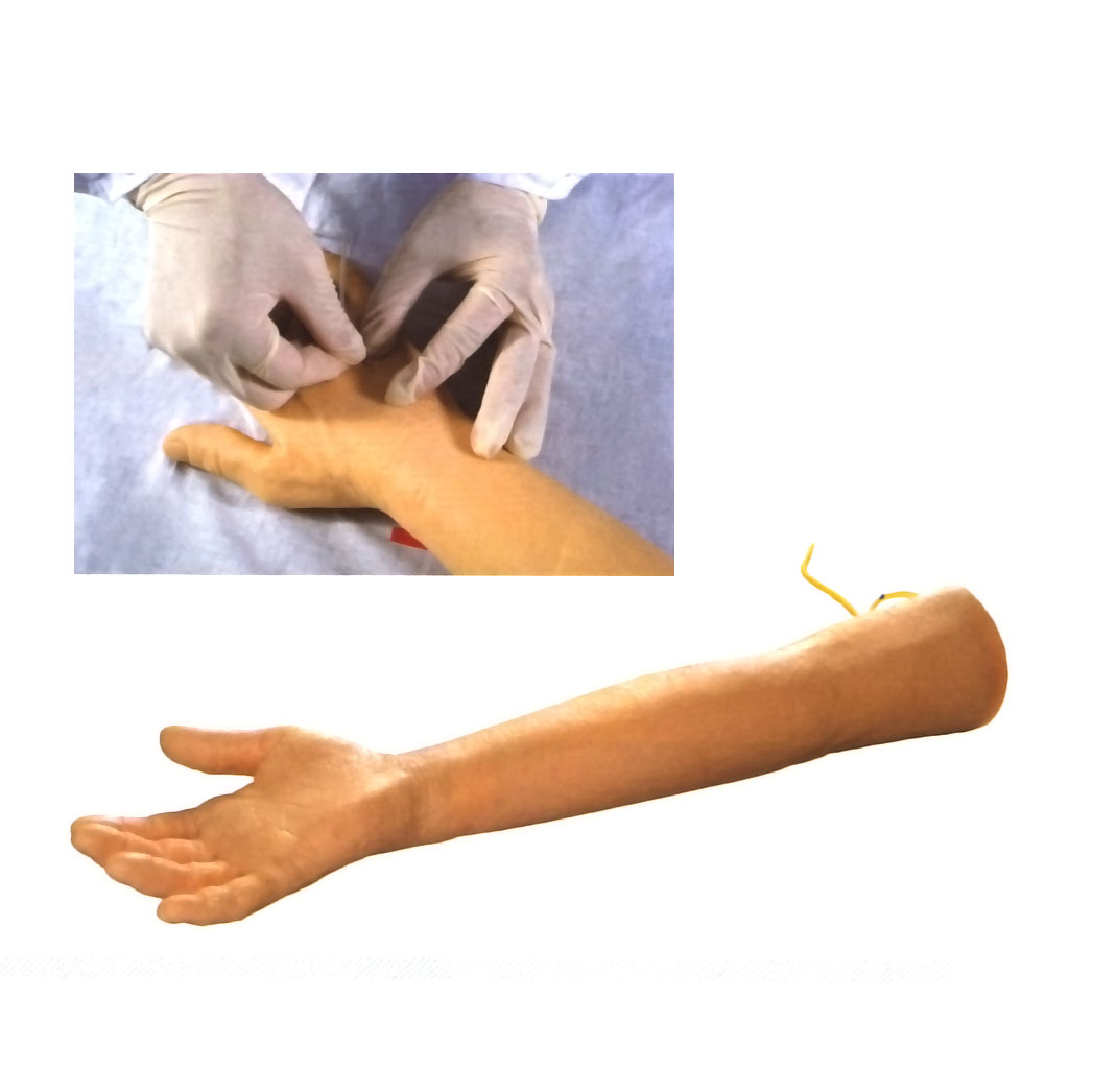 高級老年人靜脈穿刺訓(xùn)練手臂模型 高級老年人靜脈穿刺訓(xùn)練手臂模型