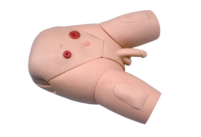 ���Ԍ�(d��o)��ʾ��ģ��