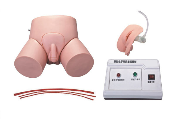 電子導(dǎo)尿灌腸教學(xué)實(shí)習(xí)模型 電子導(dǎo)尿灌腸教學(xué)實(shí)習(xí)模型