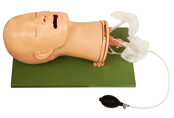 高級多功能氣道管理模型 高級多功能氣道管理模型