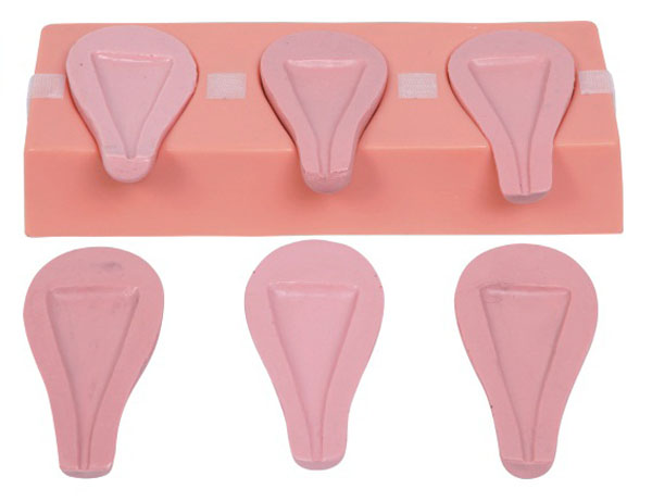 高級(jí)人工流產(chǎn)模擬子宮 高級(jí)人工流產(chǎn)模擬子宮