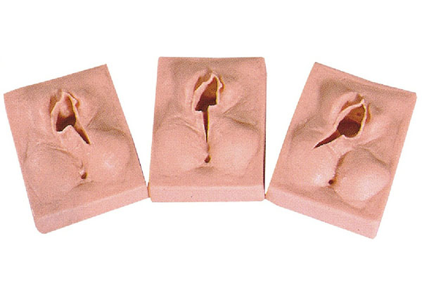 外陰縫合練習(xí)模型 外陰縫合練習(xí)模型