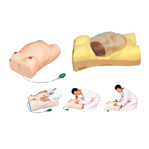 �ЋD̥�� �\ģ��,ģ��