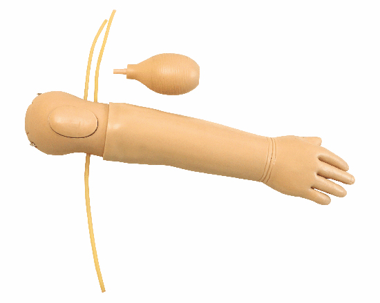 高級嬰兒動脈注射模型 高級嬰兒動脈注射模型