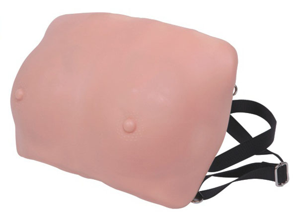 高級(jí)乳房檢查模型 高級(jí)乳房檢查模型