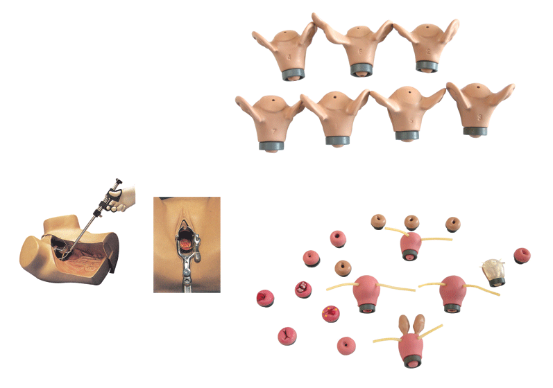 高級婦科綜合檢查訓(xùn)練模型 高級婦科綜合檢查訓(xùn)練模型