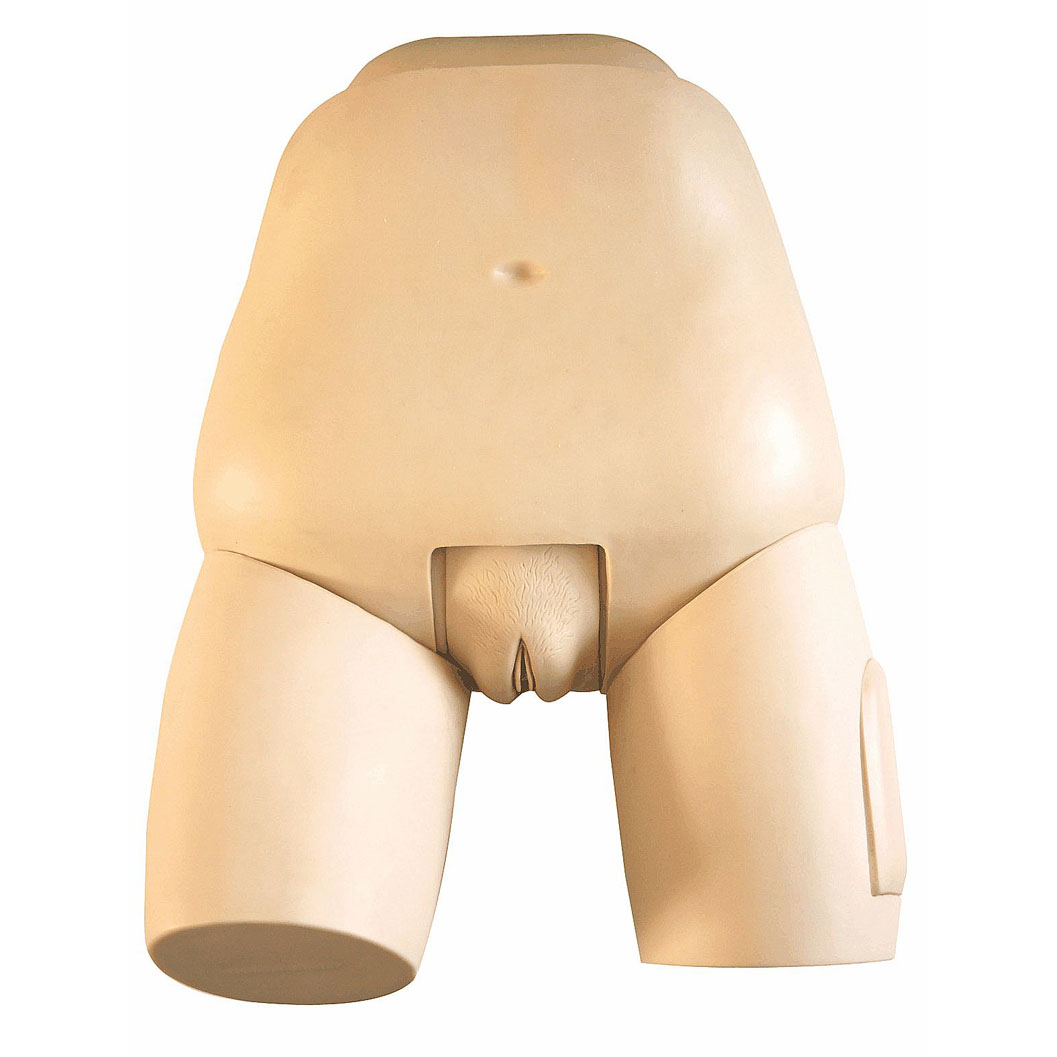 高級(jí)子宮底檢查評(píng)定模型 高級(jí)子宮底檢查評(píng)定模型