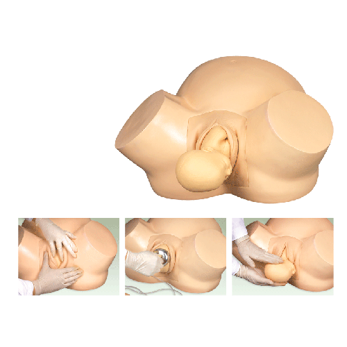 高級(jí)助產(chǎn)訓(xùn)練模型 高級(jí)助產(chǎn)訓(xùn)練模型