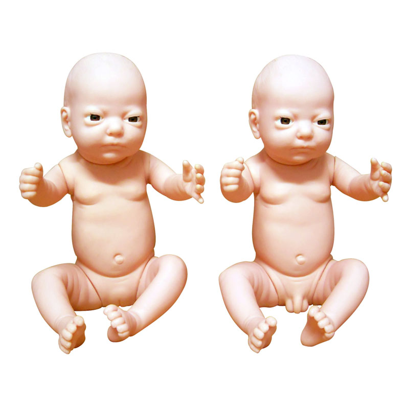 高級出生嬰兒模型(男嬰、女嬰任選) 高級出生嬰兒模型(男嬰、女嬰任選)