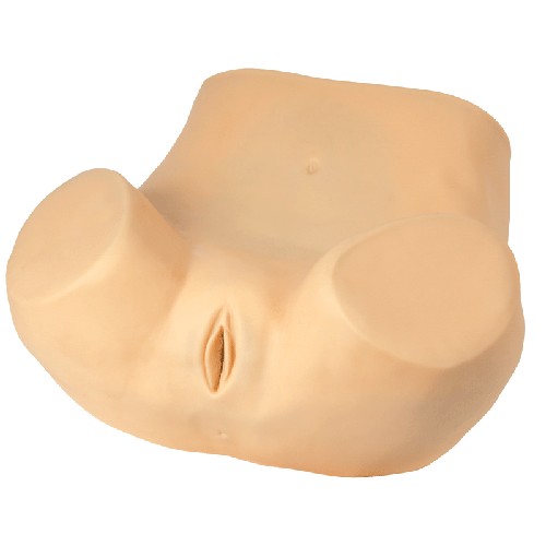 高級婦科訓練模型 高級婦科訓練模型