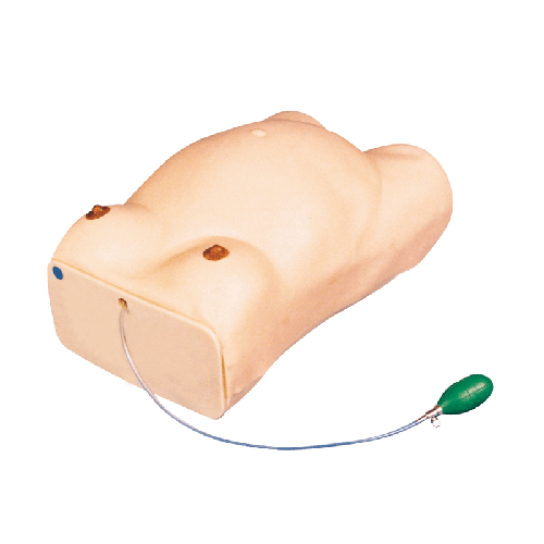 高級(jí)孕婦檢查模型 高級(jí)孕婦檢查模型