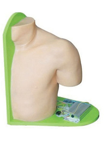 高級電子肩關(guān)節(jié)腔內(nèi)注射模型 高級電子肩關(guān)節(jié)腔內(nèi)注射模型