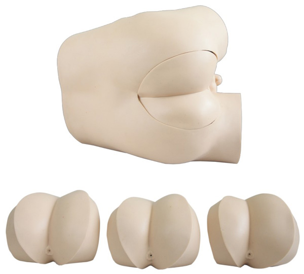 高級(jí)直腸指診檢查模型 高級(jí)直腸指診檢查模型