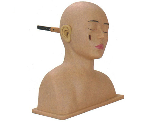 高級(jí)耳診斷模型 高級(jí)耳診斷模型