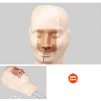 高級鼻腔出血模型 高級鼻腔出血模型