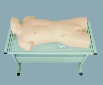 綜合穿刺訓(xùn)練電子標(biāo)準(zhǔn)化病人 綜合穿刺訓(xùn)練電子標(biāo)準(zhǔn)化病人