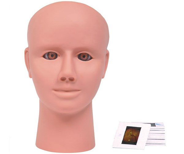 高級眼內(nèi)視網(wǎng)膜病變檢查模型 高級眼內(nèi)視網(wǎng)膜病變檢查模型