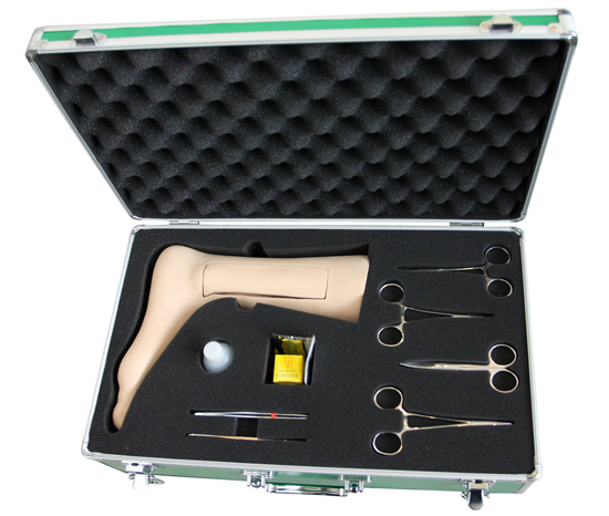 靜脈切開模型 靜脈切開模型