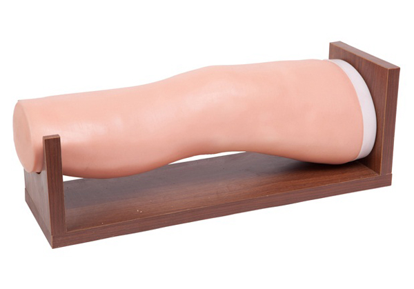 膝關節(jié)腔內(nèi)注射模型 膝關節(jié)腔內(nèi)注射模型