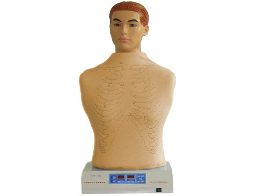 心肺觸診聽診電腦模擬器(單機(jī)版) 心肺觸診聽診電腦模擬器(單機(jī)版)