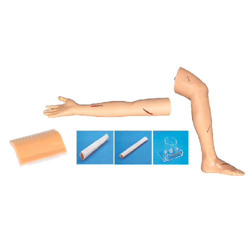 外科綜合技能訓(xùn)練組合模型 外科綜合技能訓(xùn)練組合模型