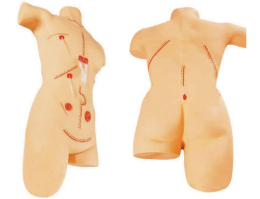 外科清創(chuàng)縫合展示模型 外科清創(chuàng)縫合展示模型