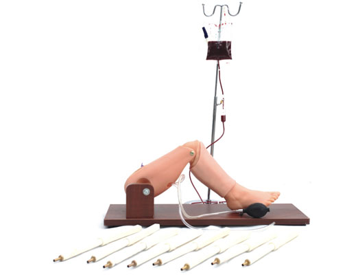 骨穿刺及股靜脈模型 骨穿刺及股靜脈模型