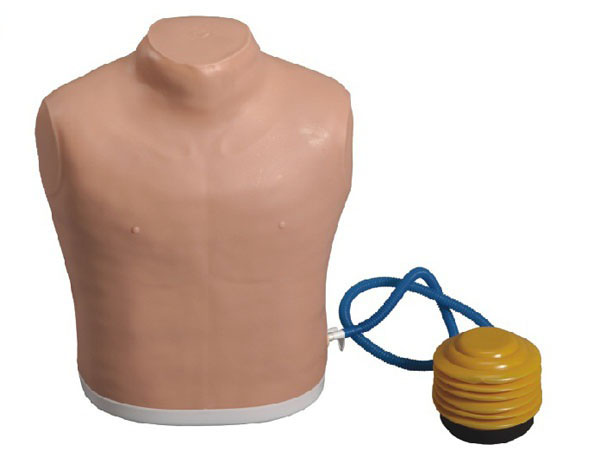 氣胸處理模型 氣胸處理模型