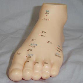 足針灸模型 足針灸模型