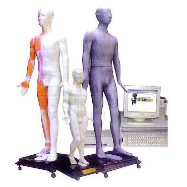 針灸人體穴位發(fā)光模型(鍵控) 針灸人體穴位發(fā)光模型(鍵控)