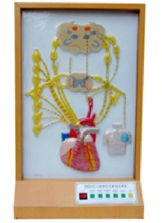 �ĵ���(j��ng)֧��늄�(d��ng)ģ��