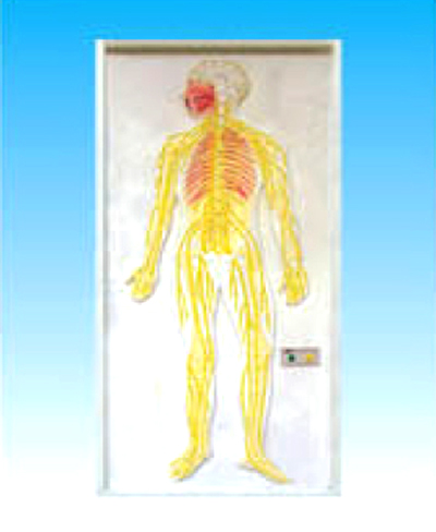 ����ʽ��Сѭ�h(hu��n)늄�(d��ng)ģ��