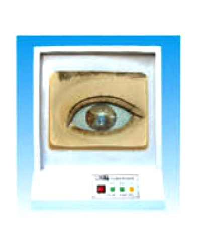 ͫ���{(di��o)��(ji��)ģ�ͣ���أ�