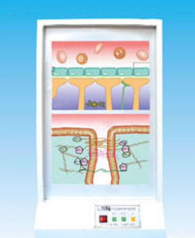 �X����늄�(d��ng)ģ��