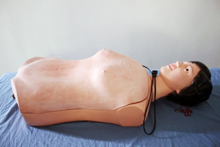 ��Ƣ�|�\늄�ģ��