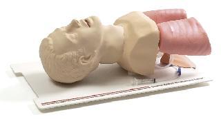 挪威挪度急救訓(xùn)練模型,進(jìn)口模擬人 挪威挪度急救訓(xùn)練模型,進(jìn)口模擬人