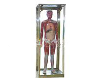 ȫ���񽛂���늄�ģ��