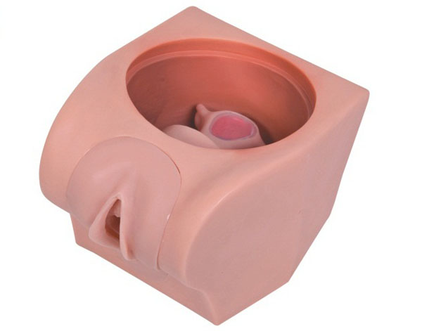 高級計劃生育教育模型,宮內(nèi)避孕器,上環(huán)訓(xùn)練道具 高級計劃生育教育模型,宮內(nèi)避孕器,上環(huán)訓(xùn)練道具