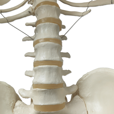 �M(j��n)�ژ�(bi��o)��(zh��n)������Stan