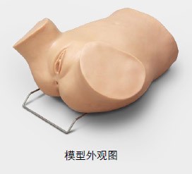 陰道后穹窿穿刺監(jiān)測考核指導(dǎo)模型,模具 陰道后穹窿穿刺監(jiān)測考核指導(dǎo)模型,模具