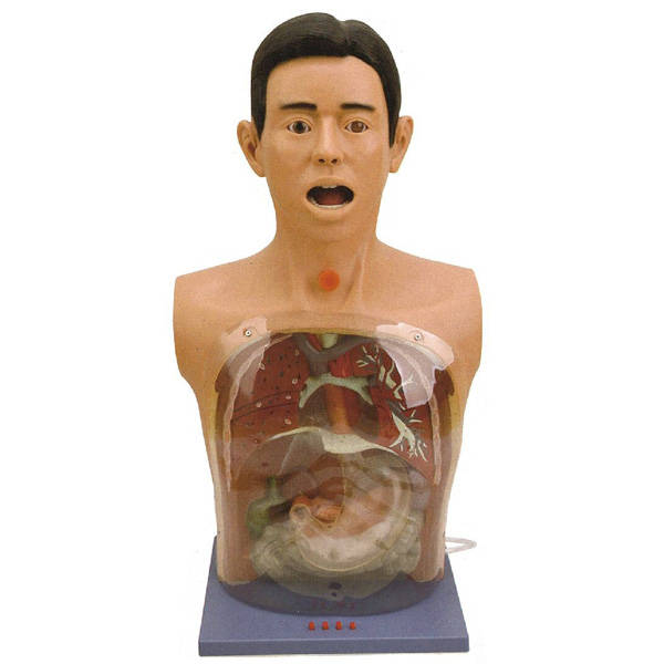 �߼�͸��ϴθģ��