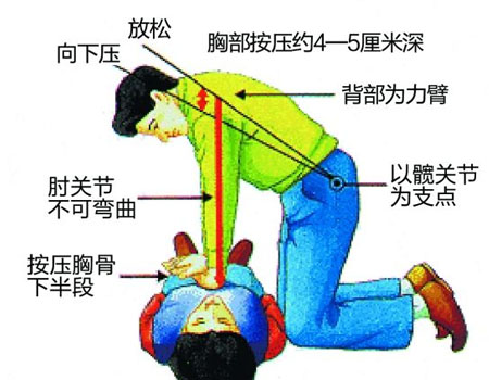 心肺復(fù)蘇模擬人,心肺復(fù)蘇訓(xùn)練人體模型 心肺復(fù)蘇模擬人,心肺復(fù)蘇訓(xùn)練人體模型